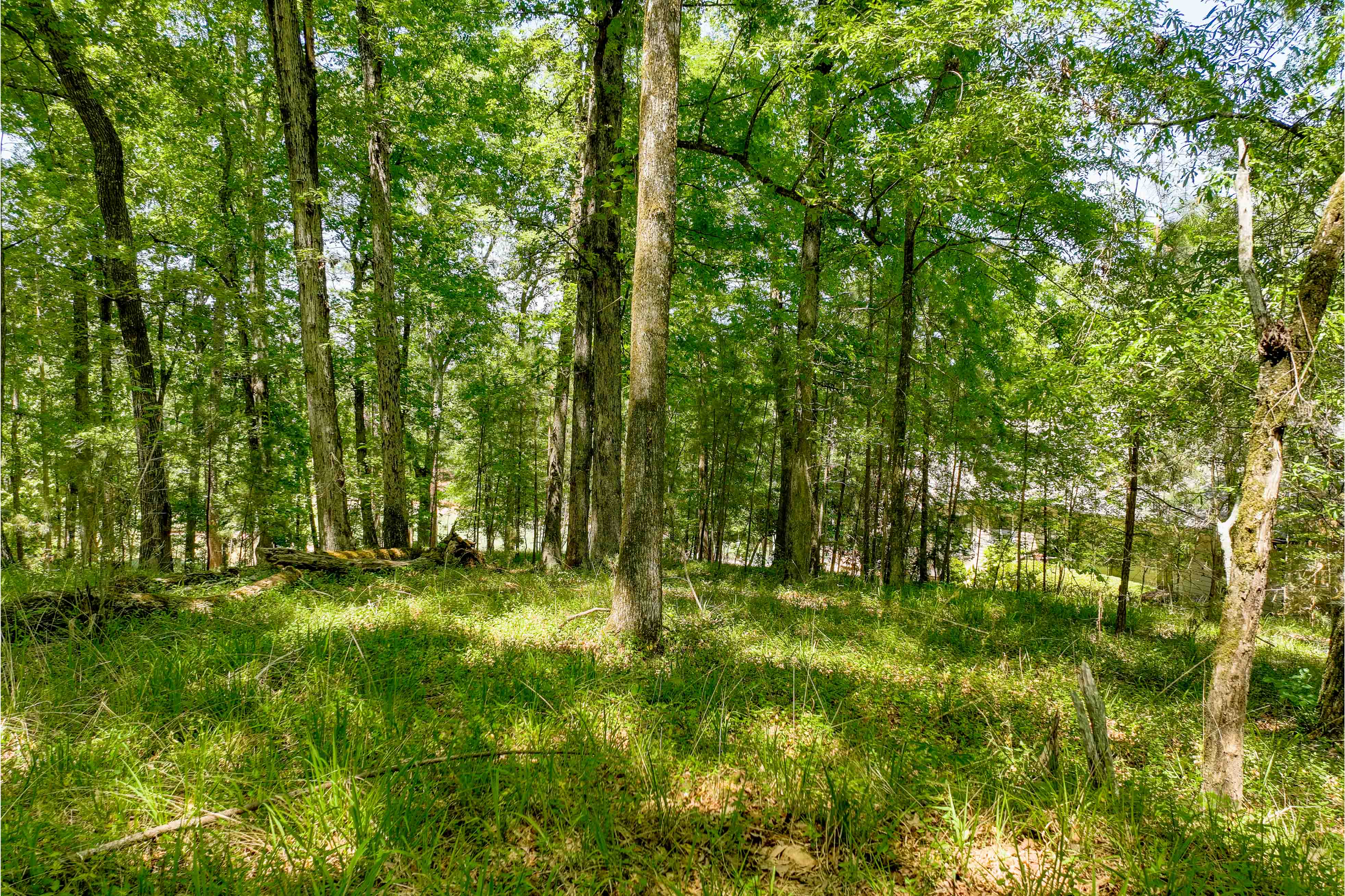 1000 Curtright Place image 3